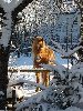 images/avatars/avatar-279.jpg