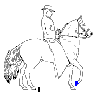 images/avatars/avatar-301.gif